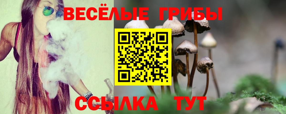 Унеча  Галлюциногенные грибы мицелий  Вход с VPN 